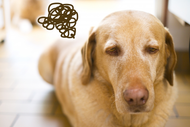 ツイてない日に読みたい名言 格言21選 心を輝かせる名言集