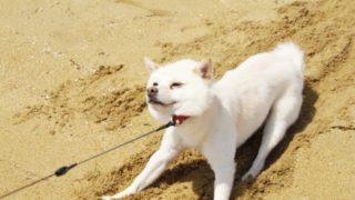 人生に怯えたら読む名言 格言21選 心を輝かせる名言集