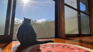 上司のムチャ振りから逃げたい時の名言21選 心を輝かせる名言集