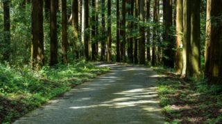 過去に関する名言 格言21選 心を輝かせる名言集 過去に関する名言 格言21選 心を輝かせる名言集